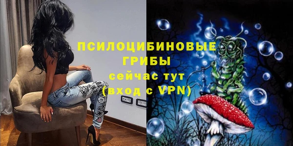 прущая мука Рославль