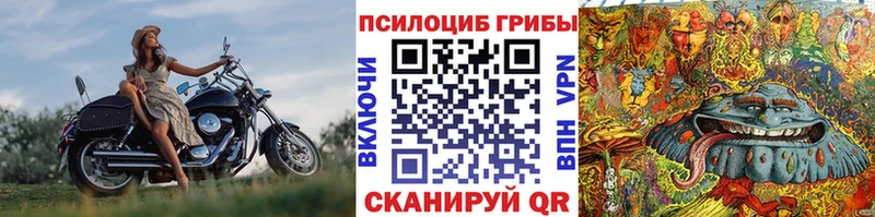 Псилоцибиновые грибы ЛСД Мурино