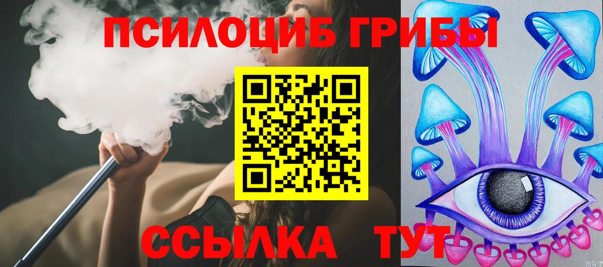 Мурино  Псилоцибиновые грибы Psilocybe  Вход с VPN 