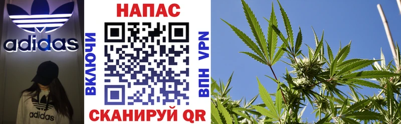 как найти наркотики  Мурино  Канабис марихуана 